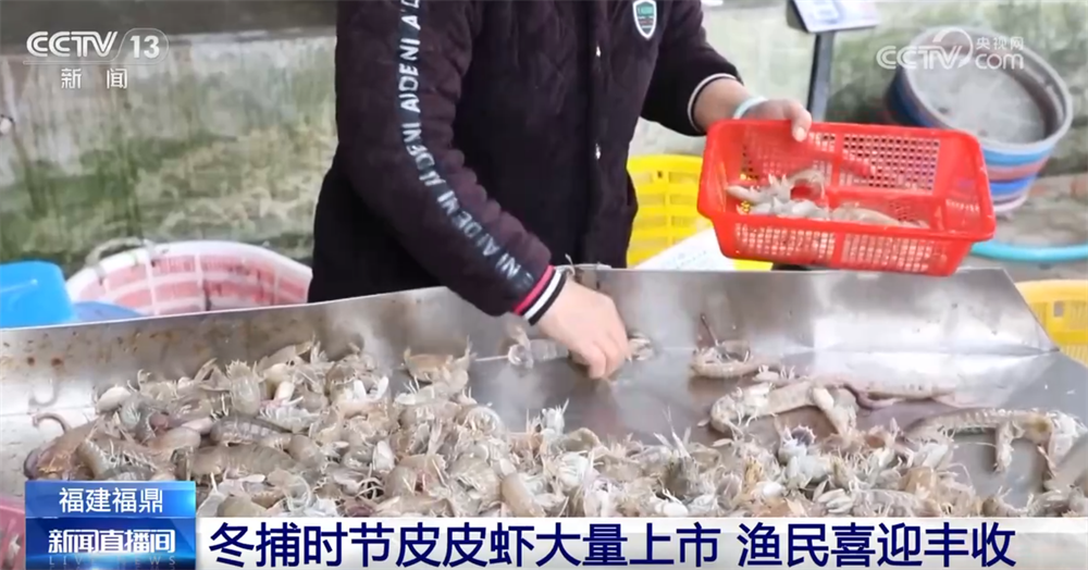 共享“渔”乐 百姓餐桌再添“鲜”滋味开元棋牌app多地火热冬捕精彩上演(图3)