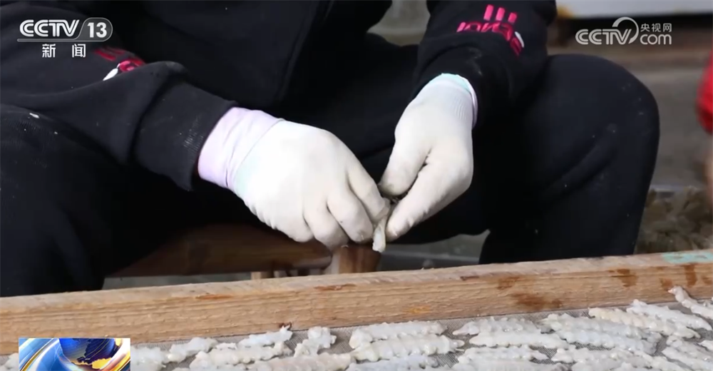 共享“渔”乐 百姓餐桌再添“鲜”滋味开元棋牌app多地火热冬捕精彩上演(图2)