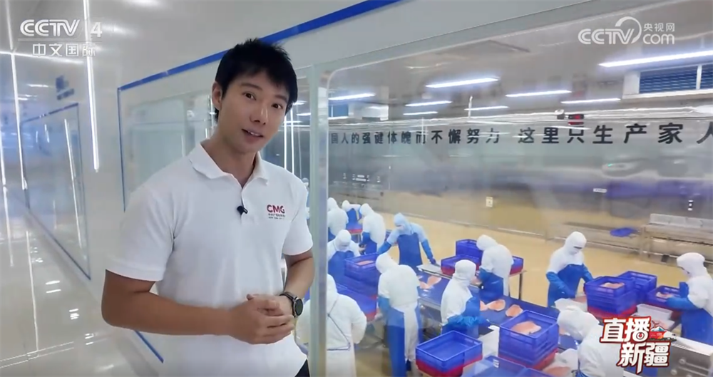 活力 走进伊犁探寻多元融合“精彩篇章”开元棋牌沉浸式感受大美新疆的无限生机与(图20)