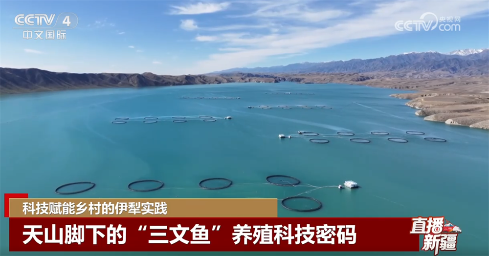 活力 走进伊犁探寻多元融合“精彩篇章”开元棋牌沉浸式感受大美新疆的无限生机与(图1)