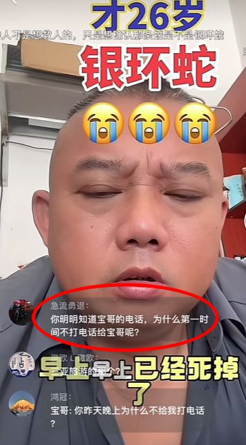 类博主两天涨粉200万电话被打爆交给朋友接听ky开元棋牌三亚女游客被蛇咬身亡事件带火蛇(图7)