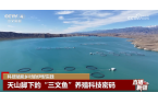 活力 走进伊犁探寻多元融合“精彩篇章”开